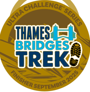 Thames Bridges Medal